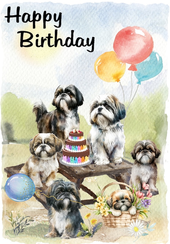 Birthday Card From Dog Shih Tzu Greeting Card (5X7 Inch, 1 Card, Blank Inside For All... Boston Terrier Mothers Day Card