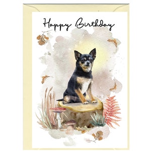 Biglietto "Happy Birthday" per cane dal pelo liscio Chihuahua (6"x 4") con busta. Vuoto all'interno per il tuo messaggio. Perfetto per ogni amante dei cani