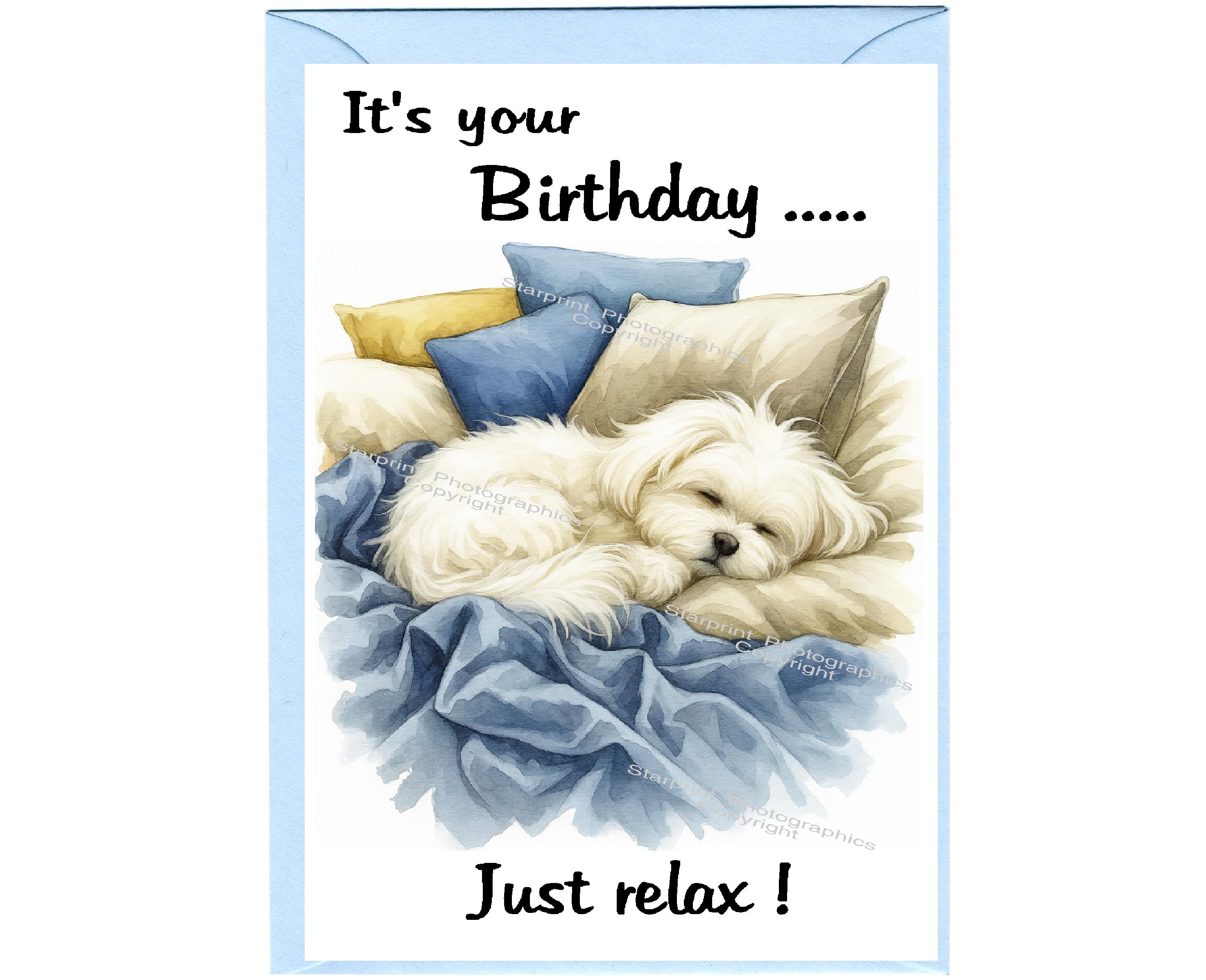 Maltese Dog Birthday Card (6"x 4") With Envelope. Blank Inside for Your ...