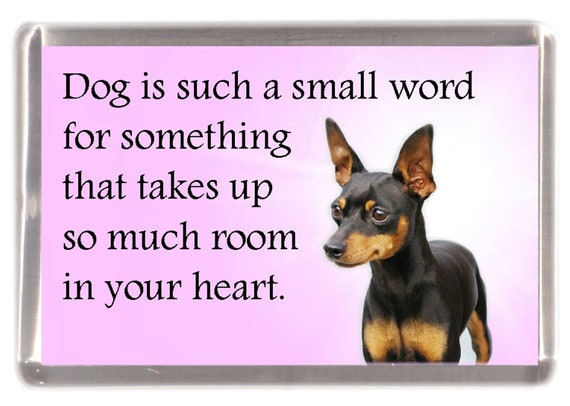 Cute Dog Sweet Quote Animal Lovers Photo Fridge Magnet 2"x3" Collectibles 
