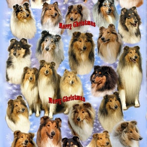Carta da regalo natalizia per cani Rough Collie. Perfetta per qualsiasi amante dei cani. Rendi il tuo regalo ancora più speciale