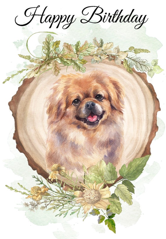 Tibetan Spaniel Umbrella 2 Tibetan Spaniel Umbrella 2