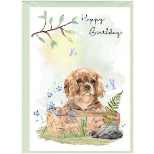 Tarjeta "Feliz cumpleaños" para perro Cavalier King Charles Spaniel (6" x 4") con sobre - Interior en blanco para su propio mensaje.