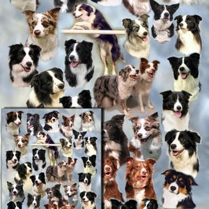 Border Collie Dog Gift Wrapping Paper with matching Gift Card