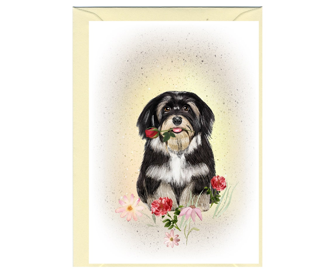 Havanese Dog Blank Card /notelet (6" X 4") With Envelope - Ideal ...