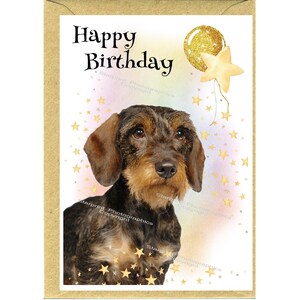 May include: A birthday card featuring a dachshund dog with brown and tan fur. The card has the words "Happy Birthday" in black script, along with a gold balloon and star decorations. The card is in a brown envelope.