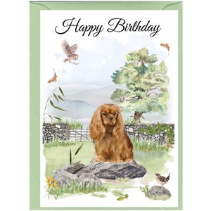 Può includere: Un biglietto di auguri di compleanno con un'illustrazione ad acquerello di un Cavalier King Charles Spaniel seduto su uno scoglio in un campo verde con un albero e degli uccelli. Il biglietto ha la scritta "Happy Birthday" in alto.