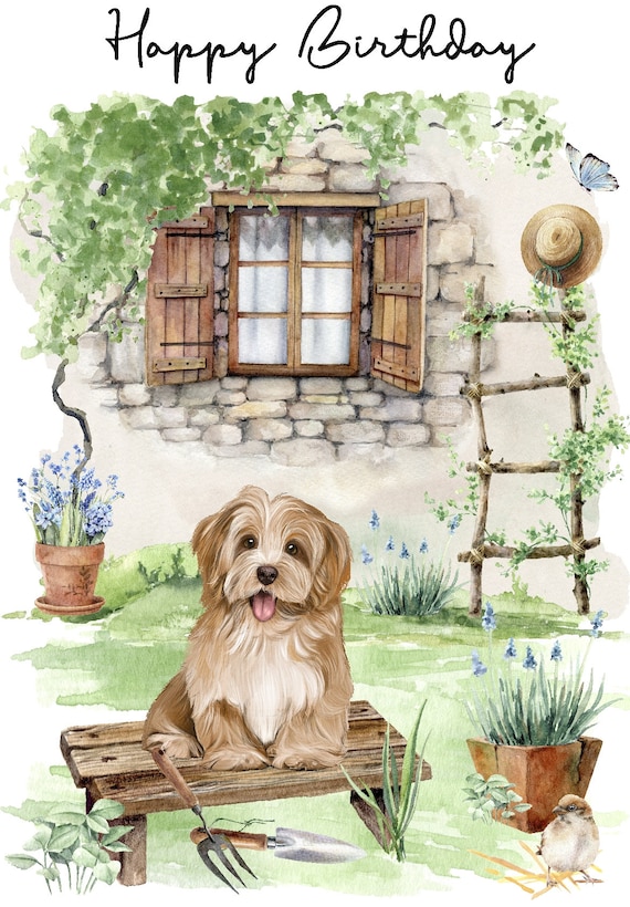 Poodle White Dog "happy Birthday" Card (6"x 4") With Envelope