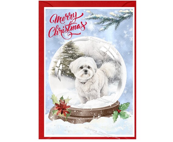 Biglietto Di Natale Artistico Con Cane E Cassetta Postale - Especially For You - 228x157 Mm