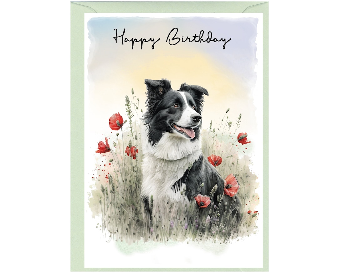 Biglietto Di Auguri A5 Con Cane Border Collie – Disegno Umoristico Di Bryn Parry, Bianco Interno Con Busta - 3