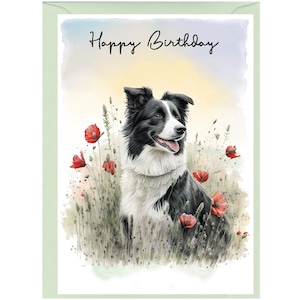 Border Collie Dog &quot;Happy Birthday&quot; Card (6&quot; x 4&quot;) with Envelope - Blank inside for your own message. Perfect for any dog lover