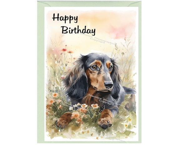 Biglietto Auguri Compleanno Con Bassotto - 145mm X 145mm - FSC, Ecologico Con Busta