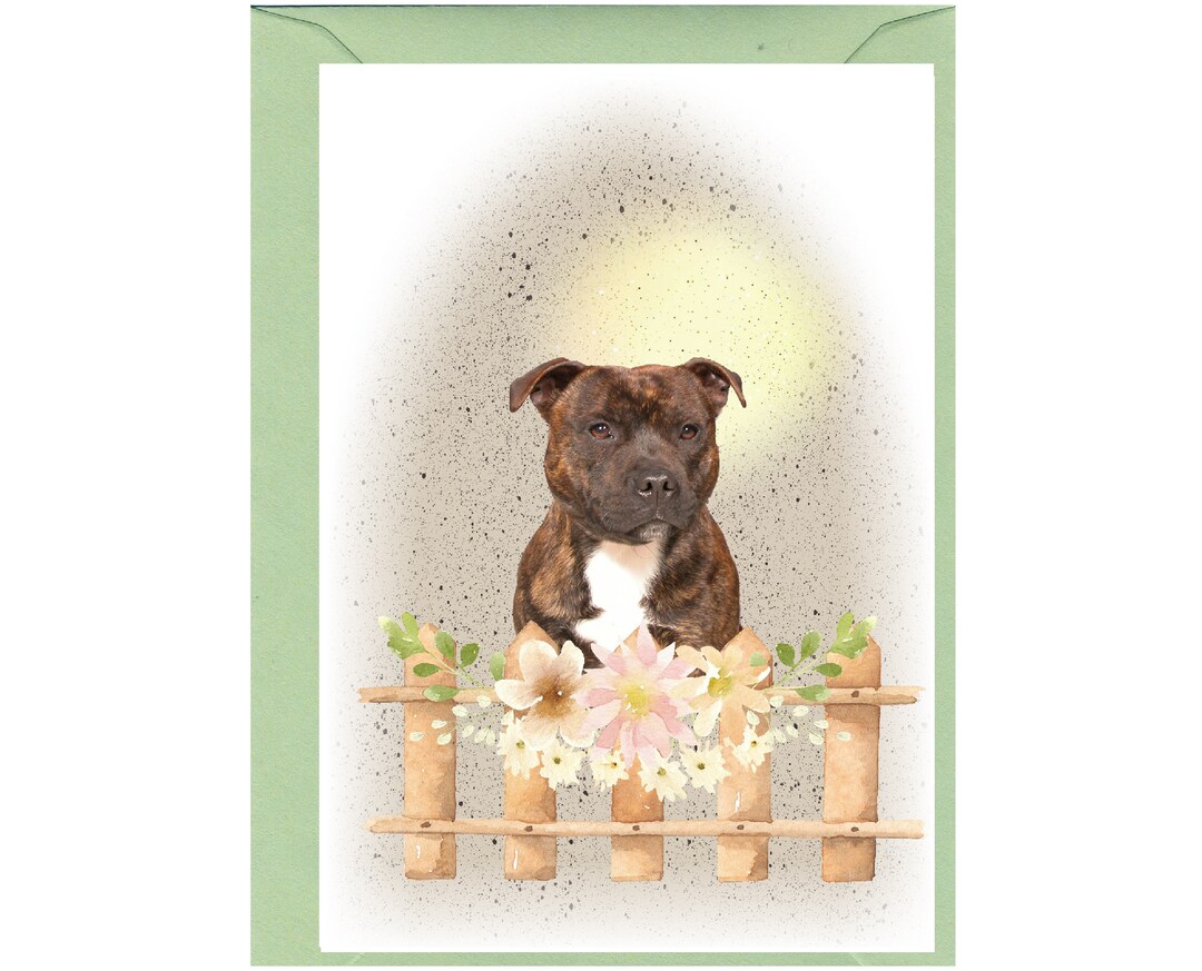 Staffy Staffordshire Terrier Dog Puppy Blank Birthday Mothers Fathers Day Card - View #4