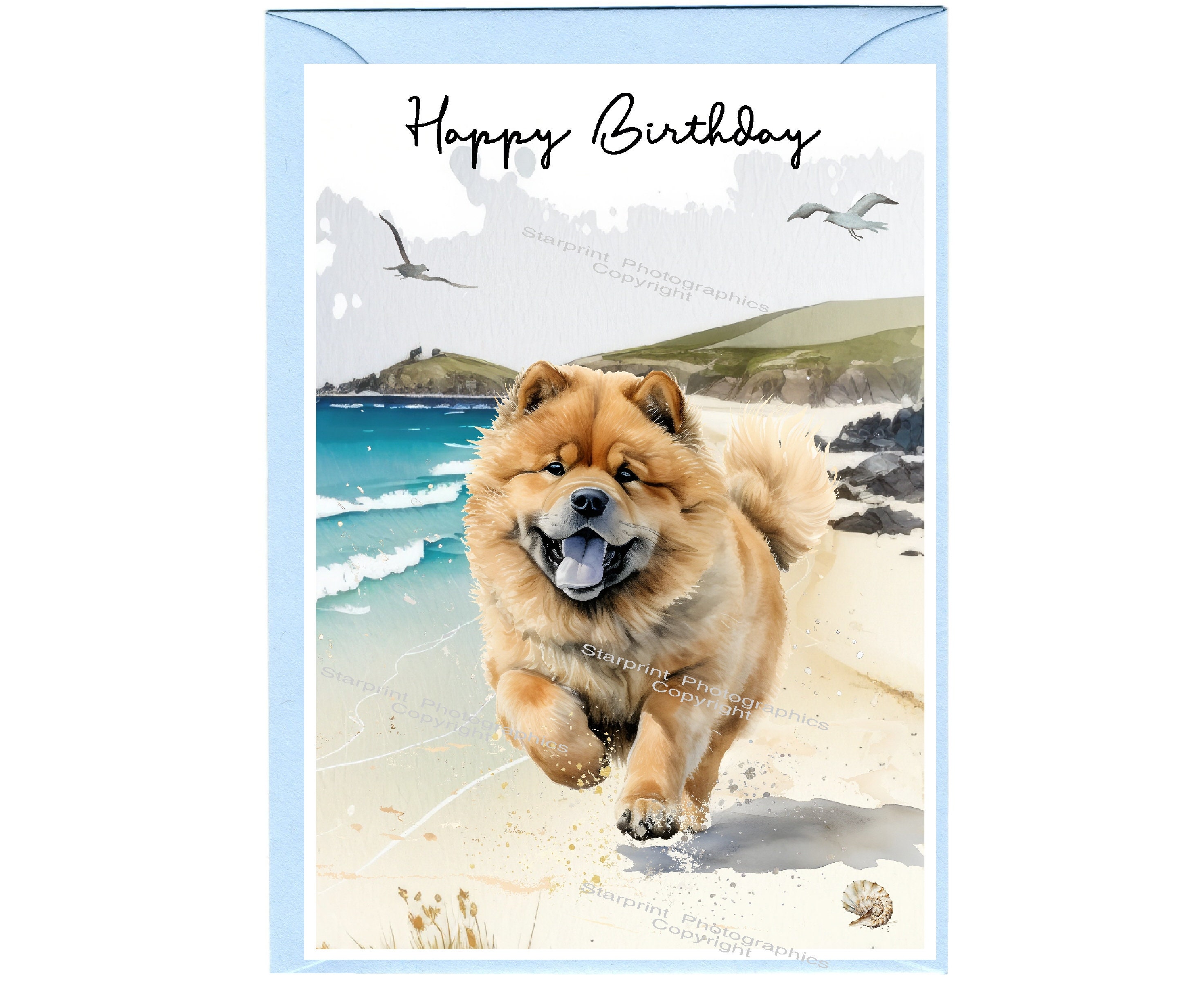 AP1131 Birthday Card AP1131 Birthday Card
