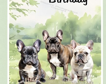 Old English Co. Carte D'anniversaire Spéciale Pour Cousin