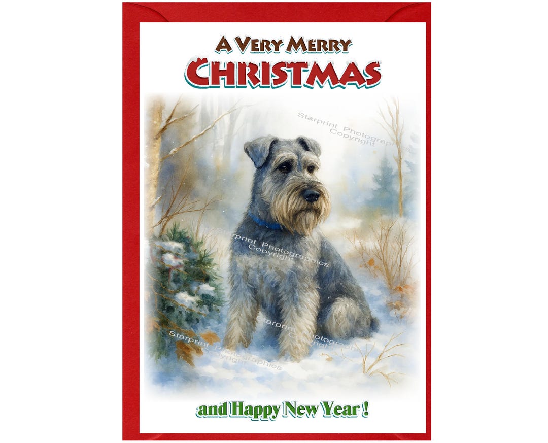 Schnauzer Dog Christmas Card (6" X 4") Blank Inside - With Envelope ...