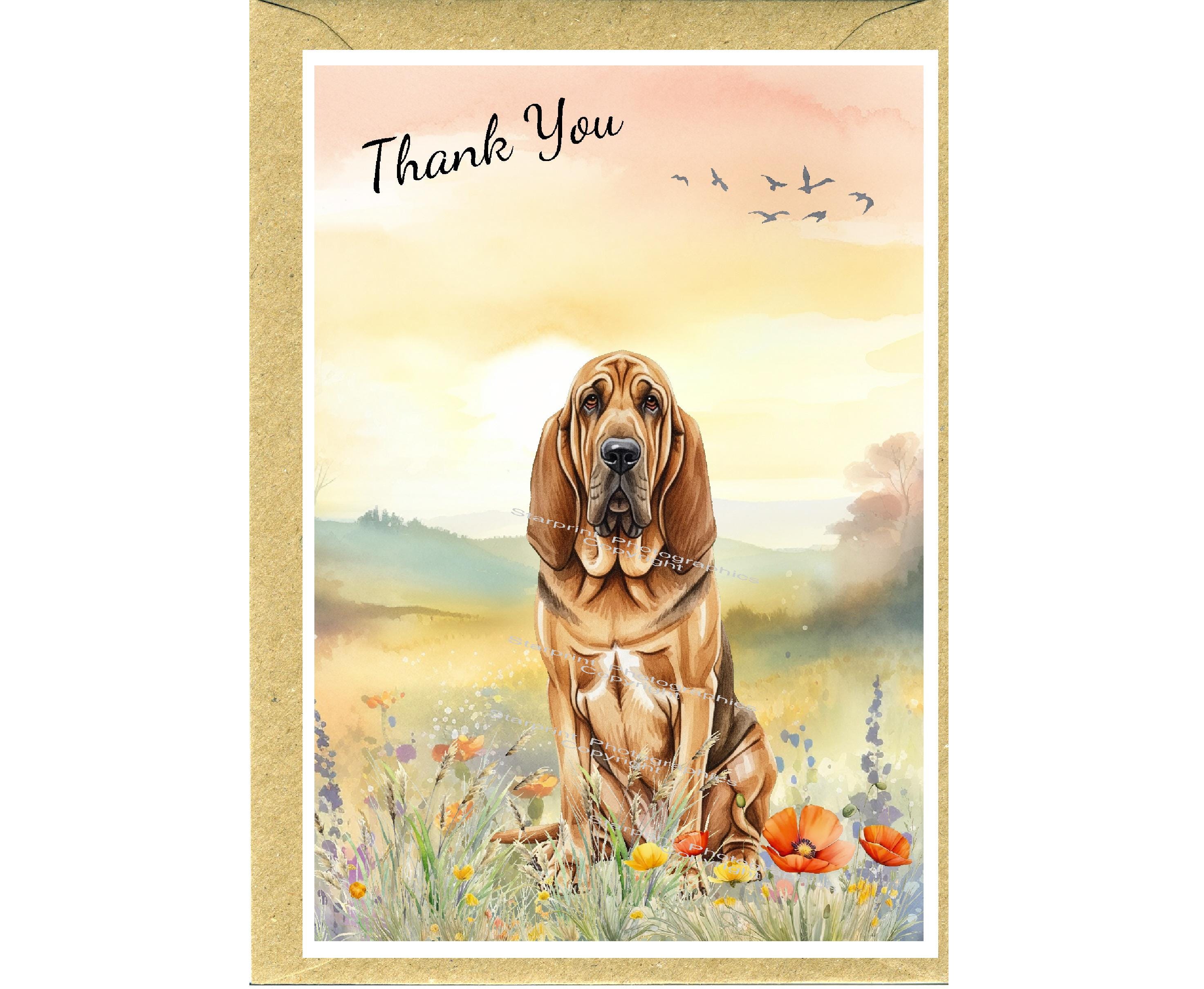 直筆サイン入 HOUND DOG「we are the HOUND DOG」 Bloodhound Dog 
