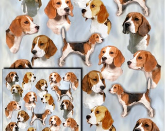 beagle wrapping paper