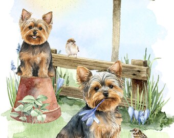 Biglietto di auguri di buon compleanno con Yorkshire Terrier, adorabile biglietto per amanti dei cani, con impronta di zampa