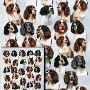 SHIH TZU Gift Wrapping Paper w/matching Gift Card by Maystead 