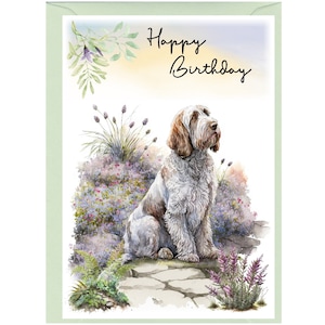 Biglietto "Happy Birthday" con cane Spinone italiano (6"x 4") con busta. Vuoto all'interno per il tuo messaggio. Perfetto per ogni amante dei cani