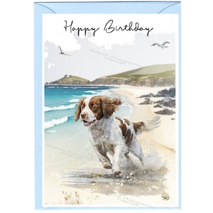 Biglietto "Happy Birthday" del cane Brittany (6"x 4") con busta. Vuoto all'interno per il tuo messaggio. Perfetto per ogni amante dei cani