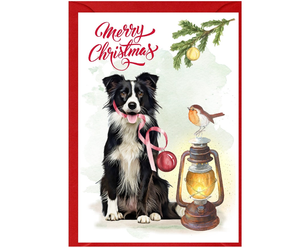 NotNiceThings Biglietti di Natale con cane per familiari 2024, biglietti di Natale divertenti a tema cucciolo per proprietari di cani, amici e familiari, biglietti di Natale divertenti personalizzati