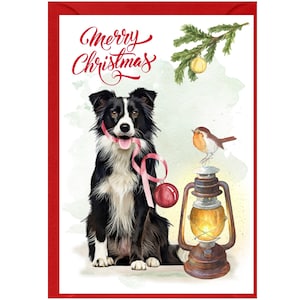 Tarjeta de Navidad para perros Border Collie (6" x 4") Interior en blanco - con sobre. Artículo perfecto para cualquier amante de los perros.