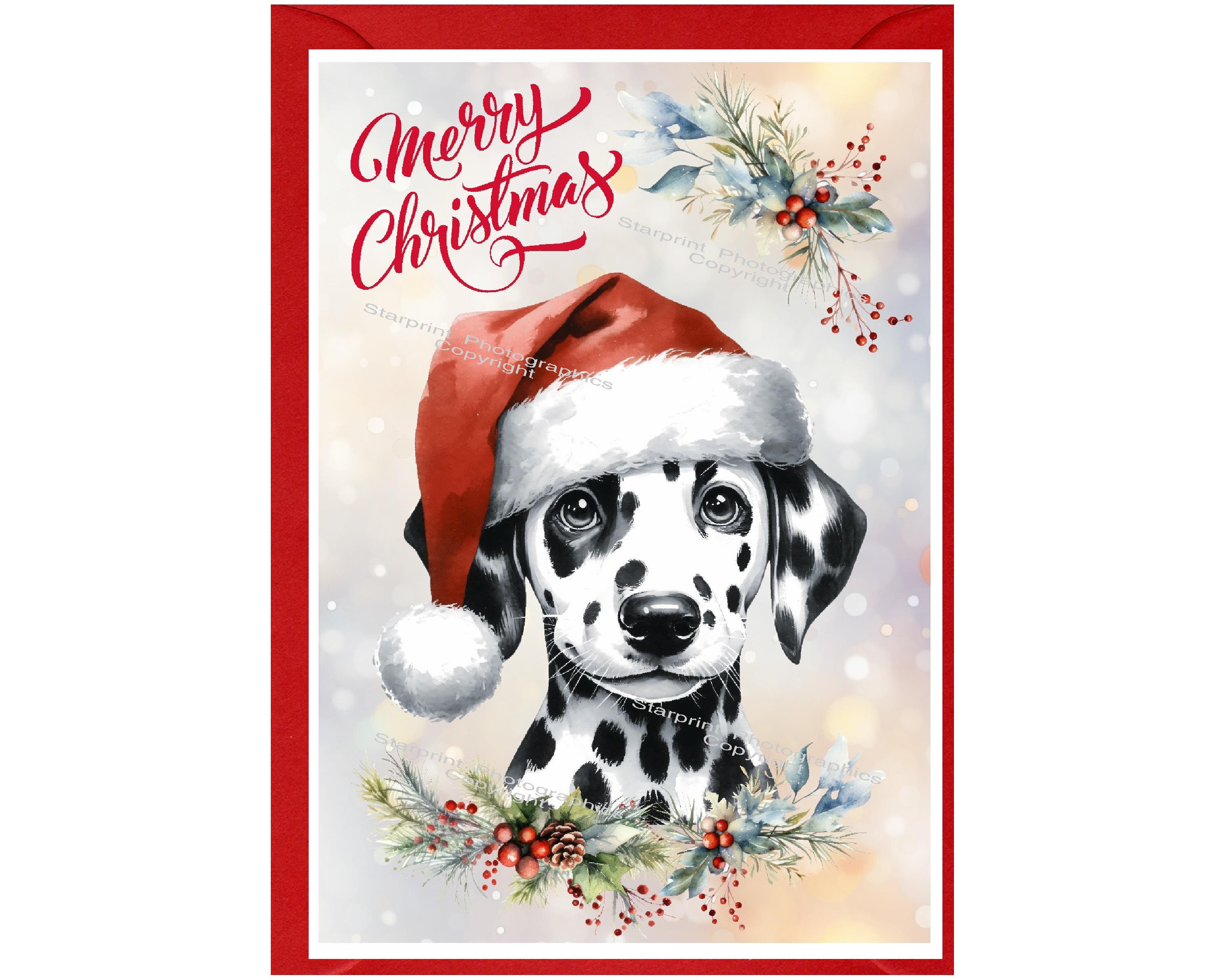 Allynn's Biglietti Di Natale Divertenti Con Carlino – 20 Biglietti + 21 Buste – Bah Humpug!