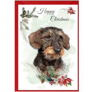 Cartão de Natal para Dachshund (pelo duro) (15 cm x 10 cm), em branco por dentro - com envelope. Item perfeito para qualquer amante de cães.