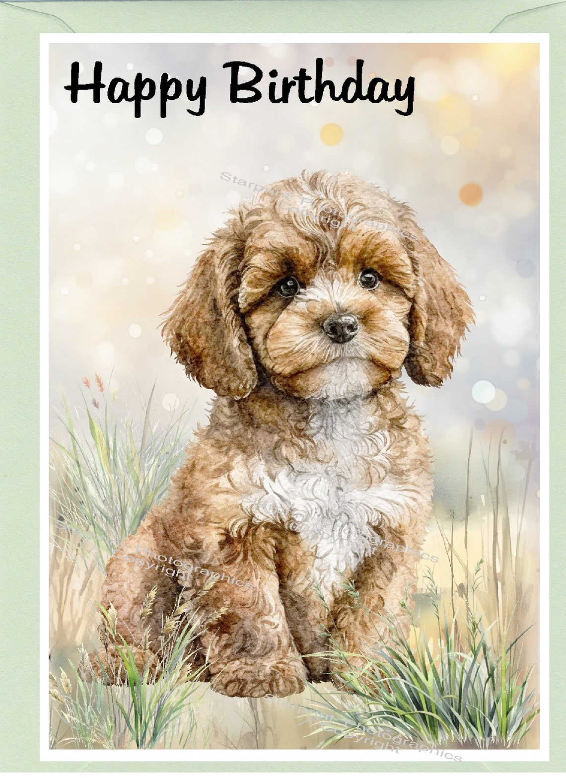 Cavapoo / Doodle Dog "happy Birthday" Card (6" X 4") With Envelope ...