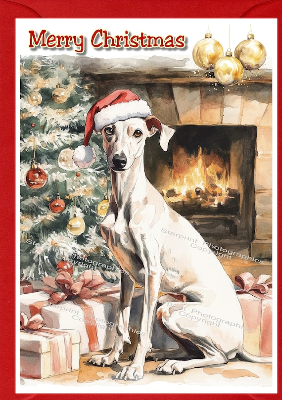 ウィペット犬用クリスマスカード（6インチ×4インチ）内側は白紙、封筒