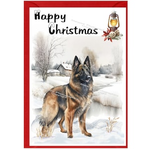 Tarjeta de Navidad del perro pastor belga (Tervueren) (6" x 4") Interior en blanco - con sobre. Artículo perfecto para cualquier amante de los perros.