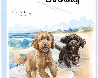 Biglietto Di Congratulazioni Con Design Cavapoo – 145x145mm, Fatto A Mano In Inghilterra - 3