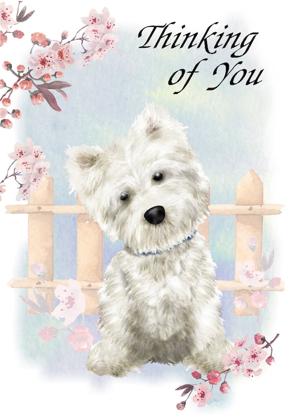 West Highland White Terrier Westie Dog 