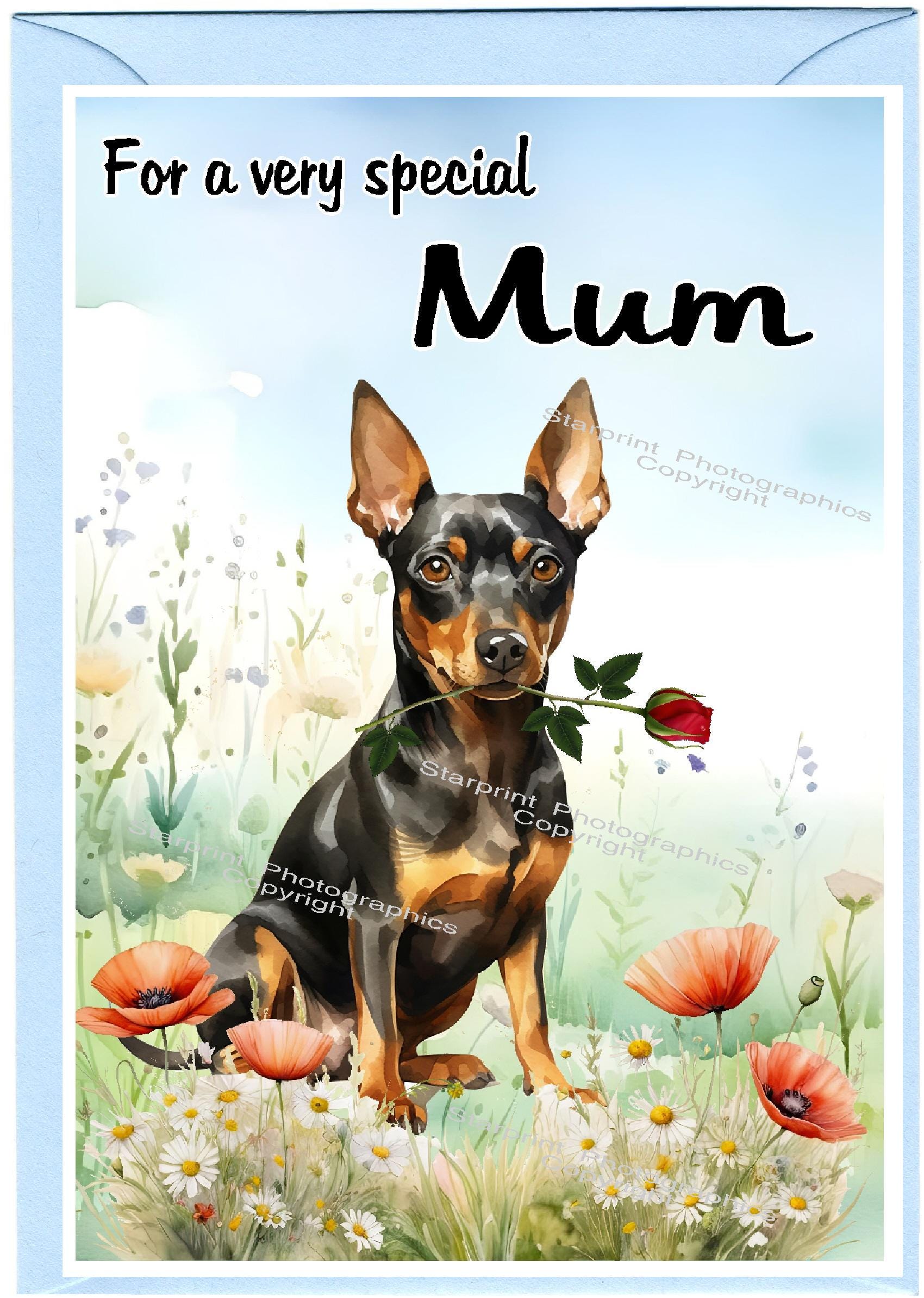 アイドル [MINYYUNY] Precious Lettering PET Color il_fullxfull.6985211405_iow2.jpg