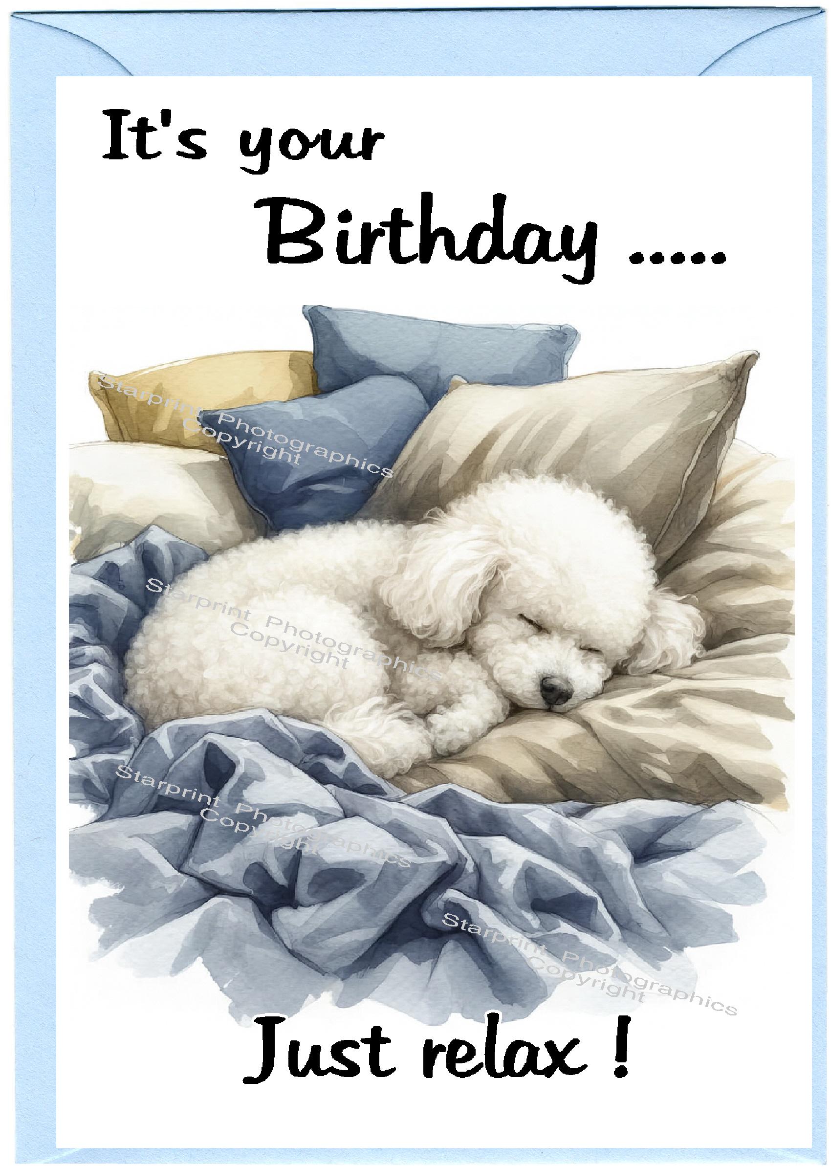 Poodle White Dog Birthday Card (6"x 4") With Envelope. Blank Inside for ...