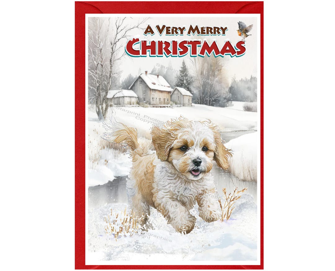 Cavachon / Doodle, Cockapoo Dog Christmas Card (6" X 4") Blank Inside ...