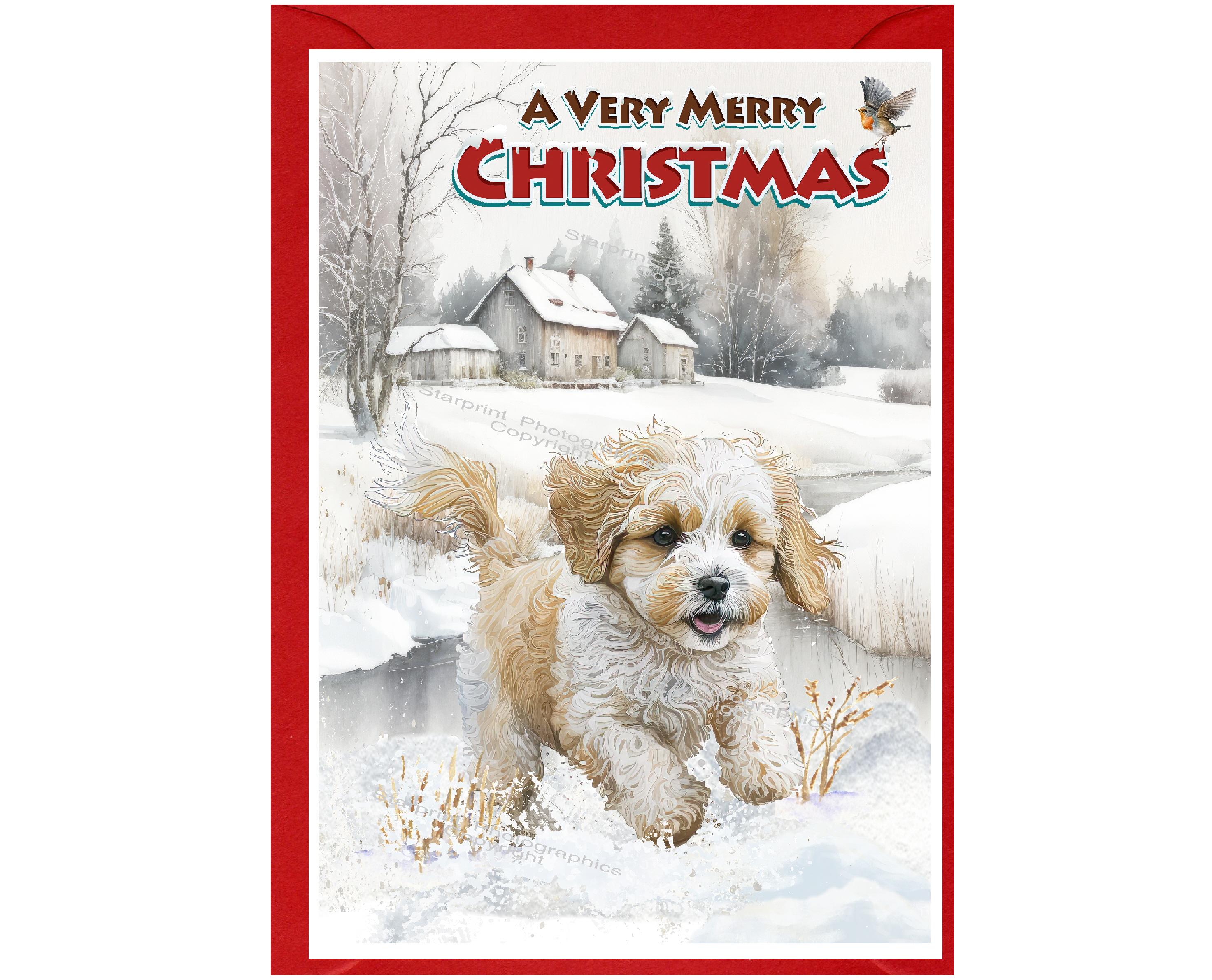 Cavachon / Doodle, Cockapoo Dog Christmas Card (6" X 4") Blank Inside ...