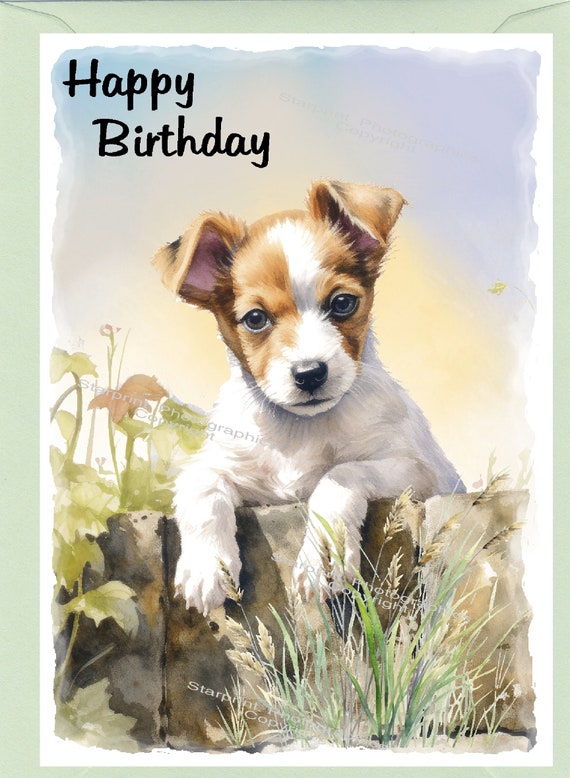 refPIDY2 - Biglietto per auguri di compleanno con cane Yorkshire Terrier A5