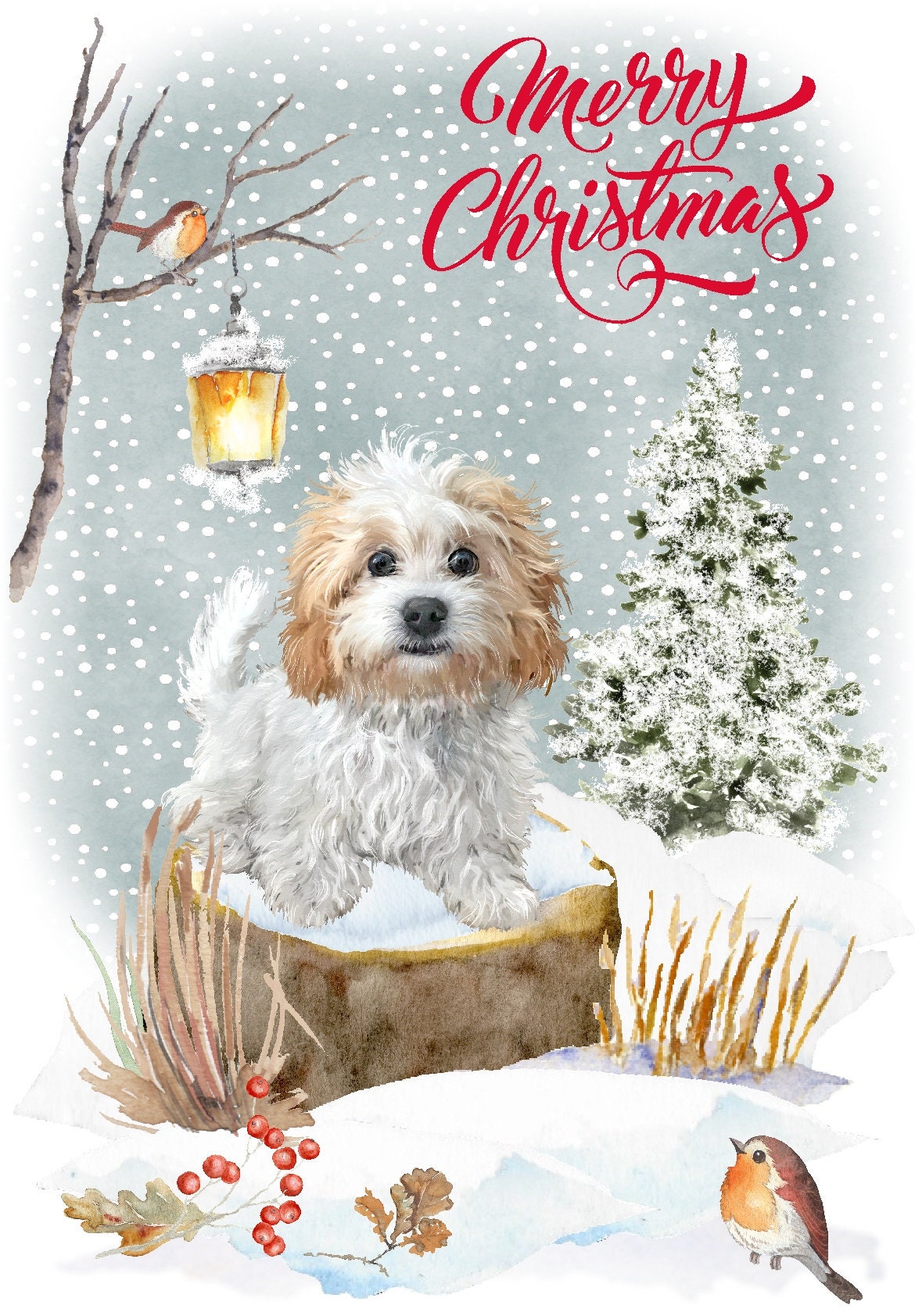 マルチーズ/ミックス犬用クリスマスカード（6インチ×4インチ）封筒付き