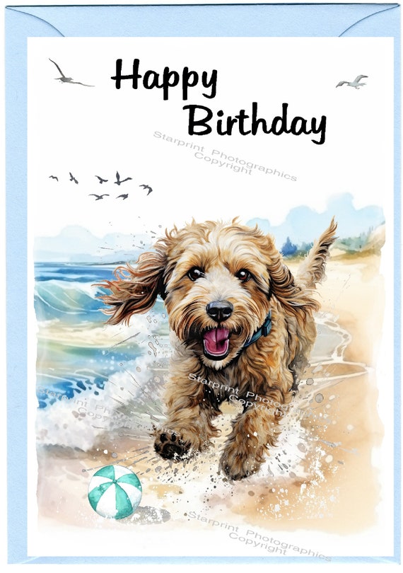 Labradoodle Golden Doodle Dog 