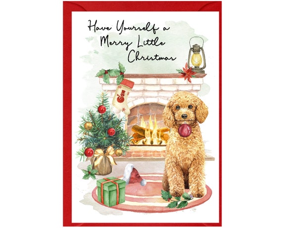 Biglietto d'auguri tradizionale per la nuova casa, 20,3 x 15,2 cm, Piccadilly Greetings
