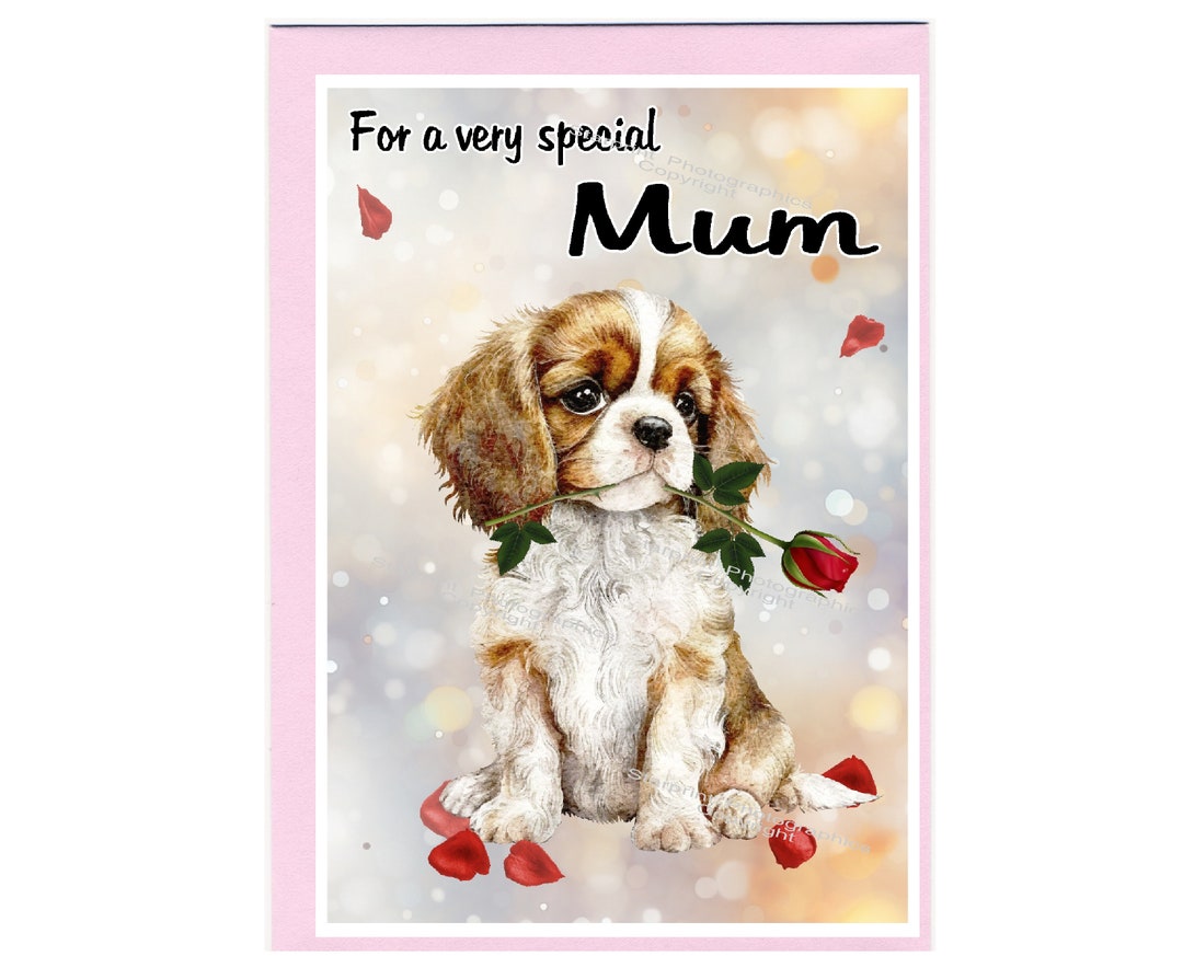 Cavalier King Charles Spaniel Dog Blank Card /notelet for MUM 6 X 4 ...