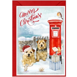 Norfolk Terrier Weihnachtskarte, 15 x 10 cm Innen leer - mit Umschlag.  Perfekter Artikel für jeden Hundeliebhaber