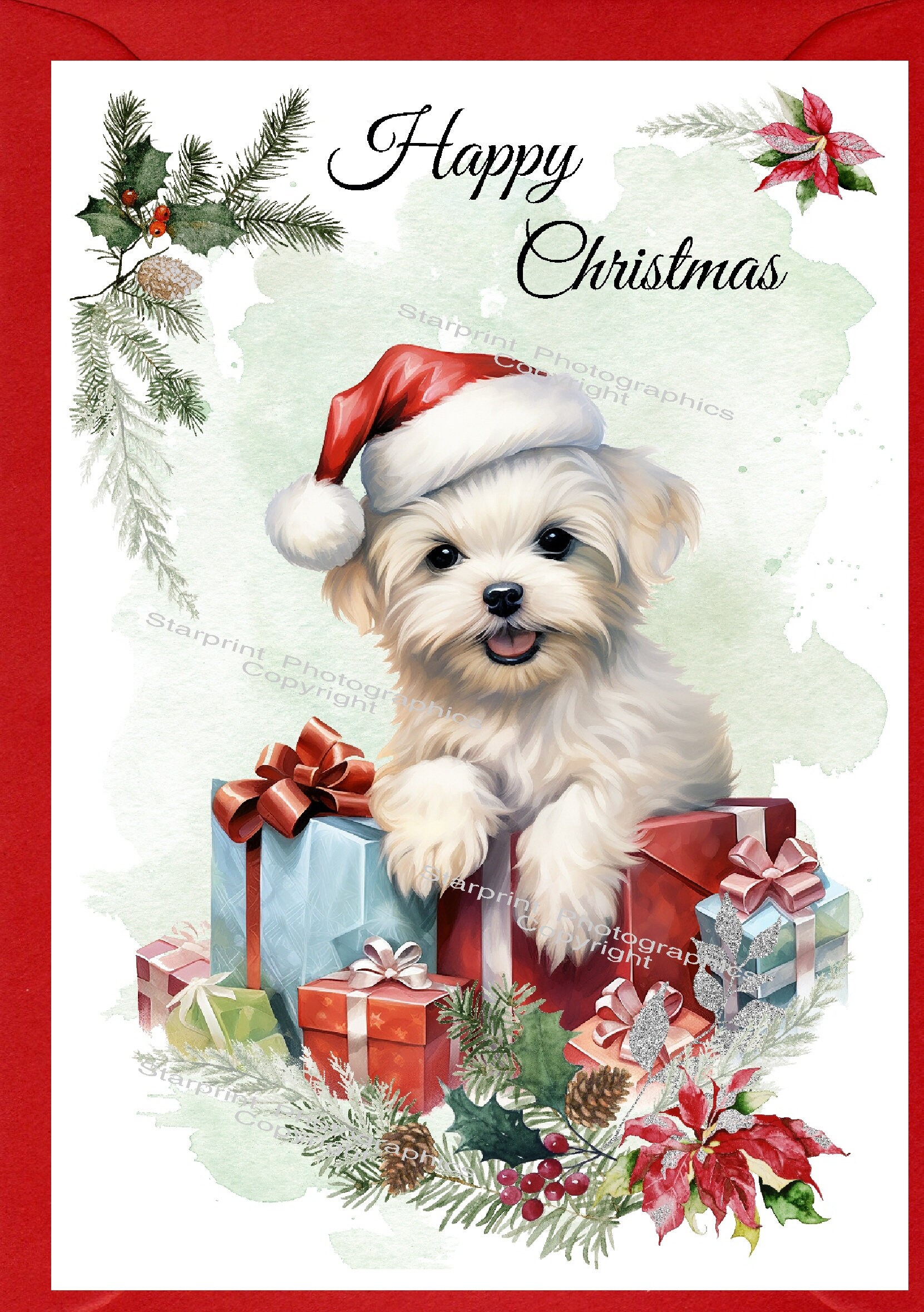 Biglietto Di Natale Tradizionale Con Cane - 20.3 X 15.2 Cm, Regal Publishing, Con Busta, Regalo UK - 3