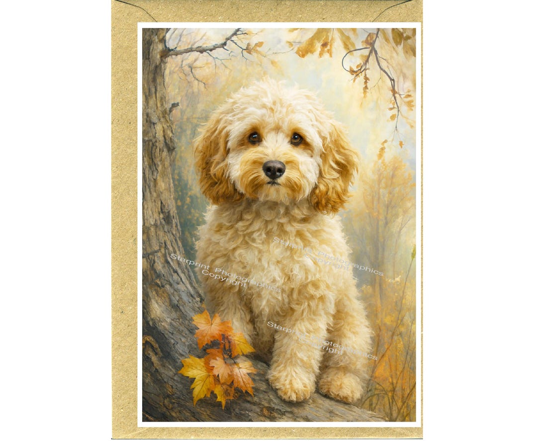 Personalised Cockapoo / Doodle Dog Greetings Card /notelet (6" X 4 ...