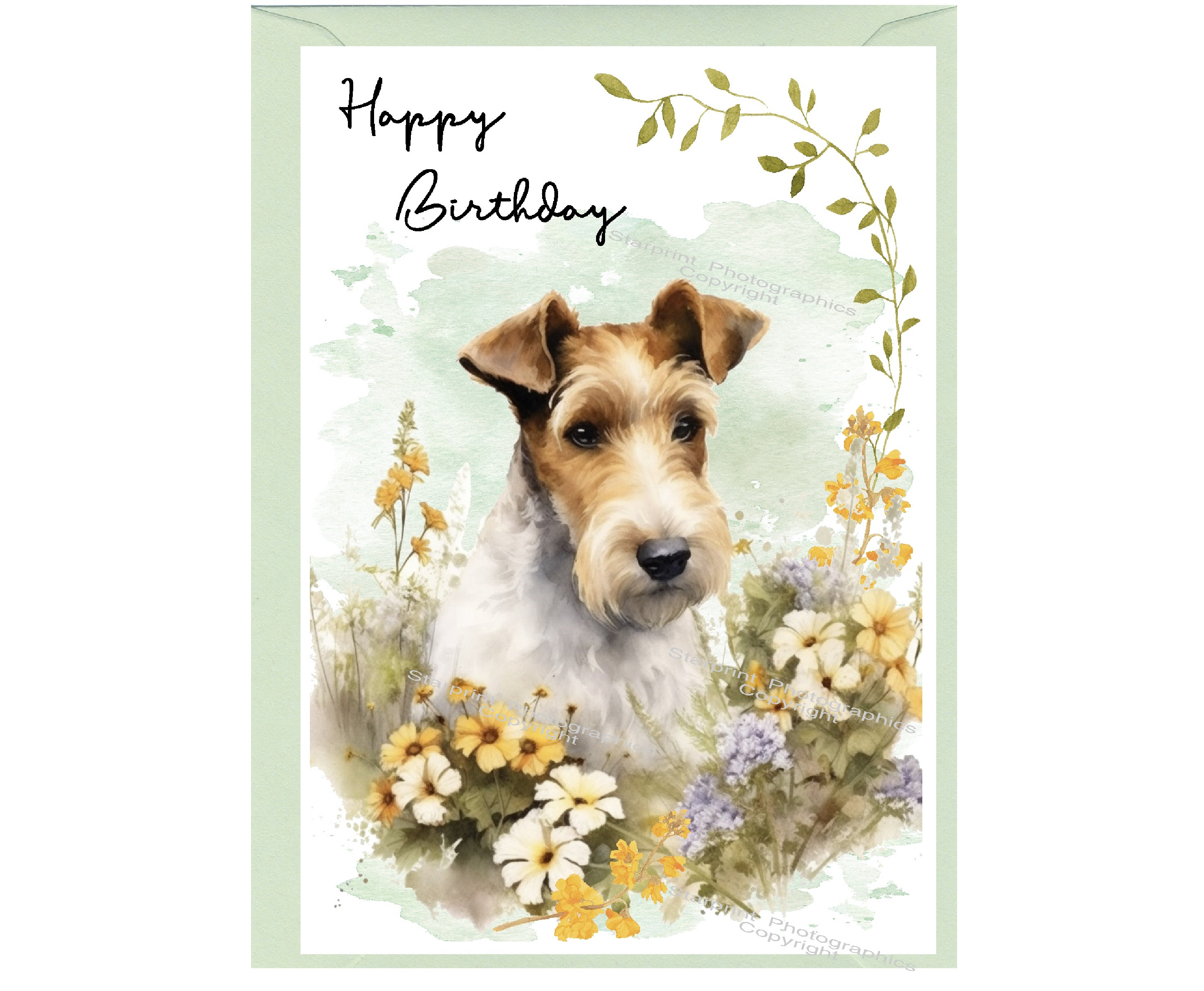 Wire Fox Terrier Dog