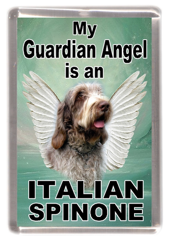 Italian Spinone Dog Fridge Magnet 