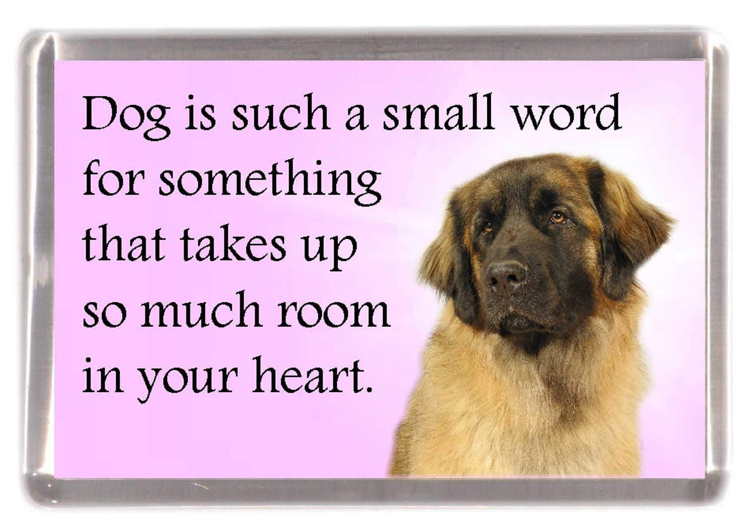 magical mystic shelties